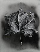 Un d&iacute;a de marzo...